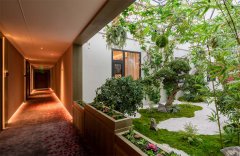 酒店规划中的几个热门重点