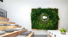 办公室那些空间可以用植物墙？
