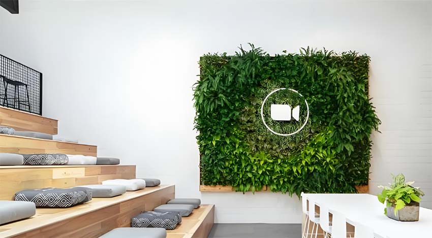 办公室那些空间可以用植物墙？