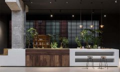 办公室常用的十种植物