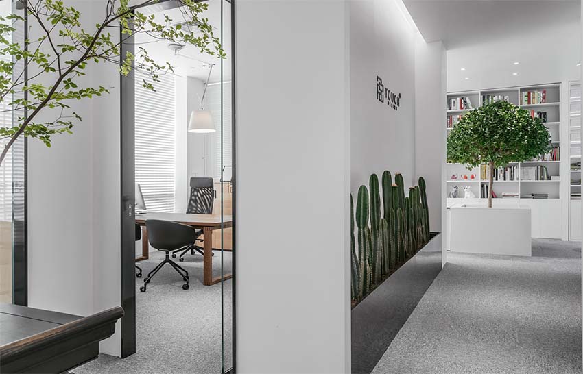 办公室的隐形能量补给器-绿植